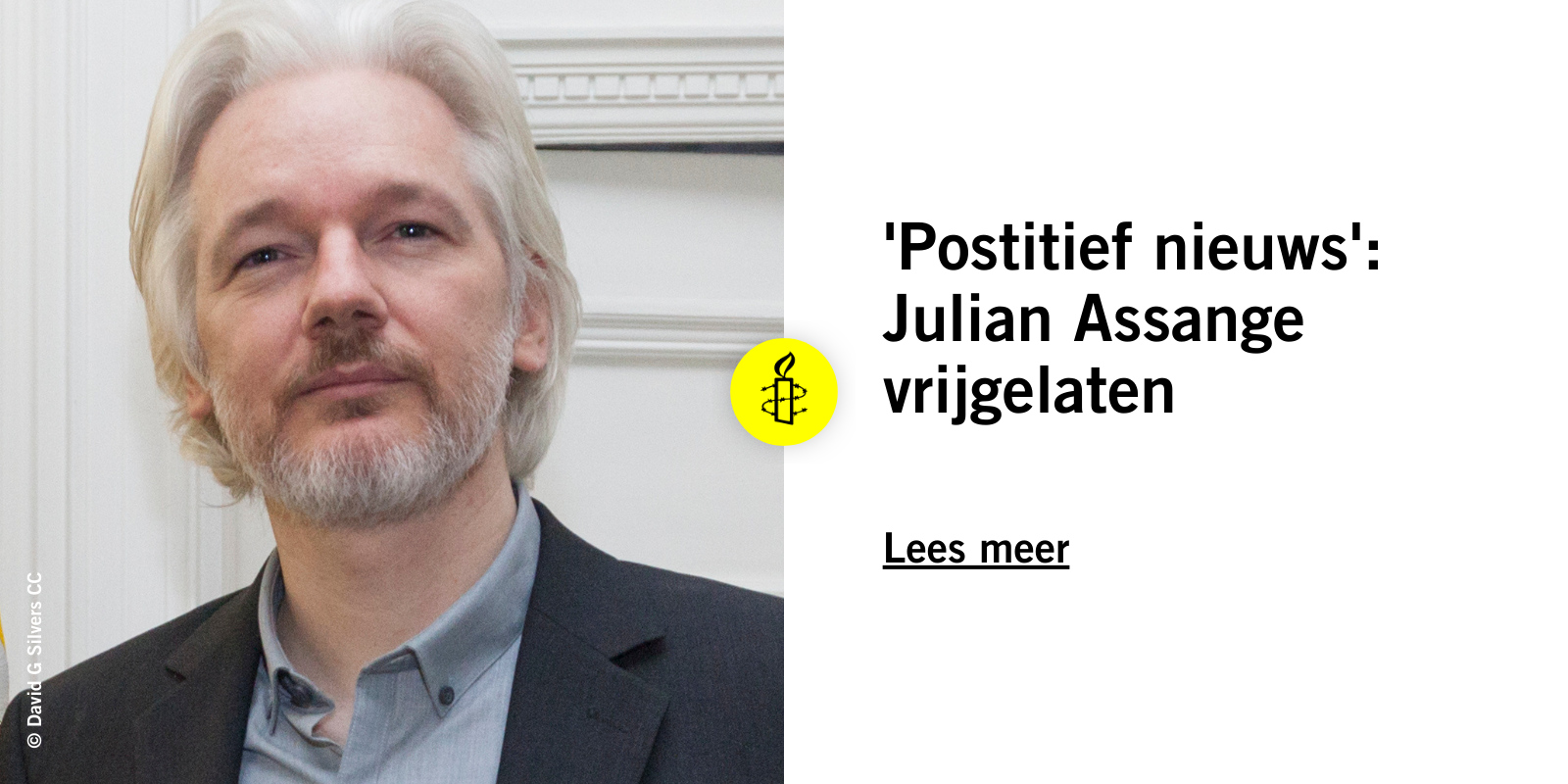 ‘Optimistic information’: Julian Assange launched